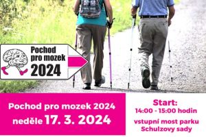 Pochod pro mozek